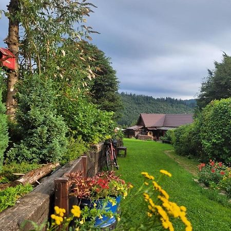 Villa Osada Bura Polana Ujsoły Exterior foto