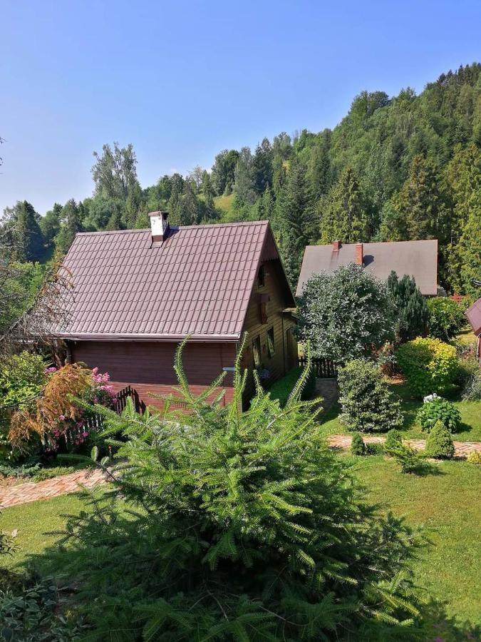 Villa Osada Bura Polana Ujsoły Exterior foto